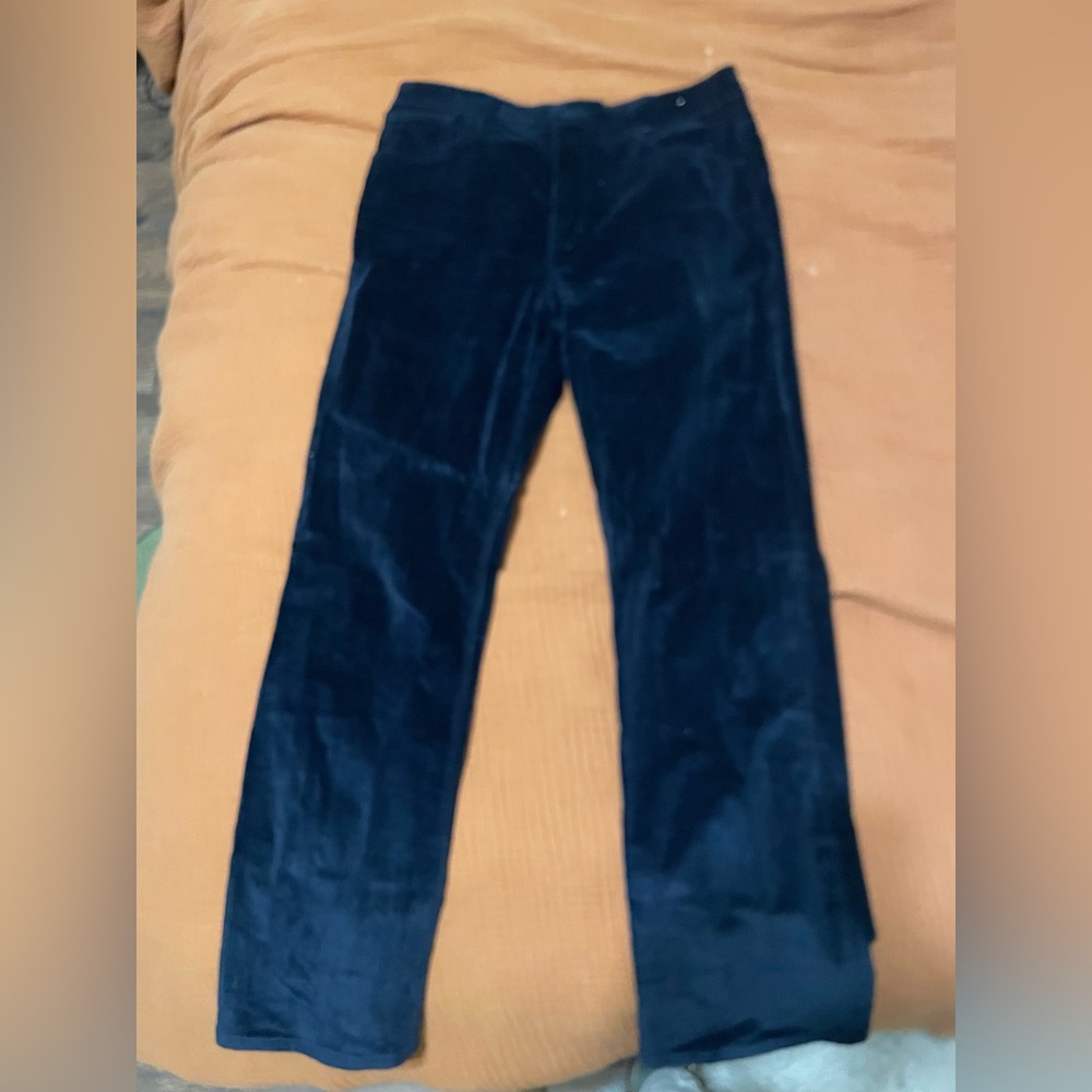 Madewell Dark Blue Corduroy Pants
